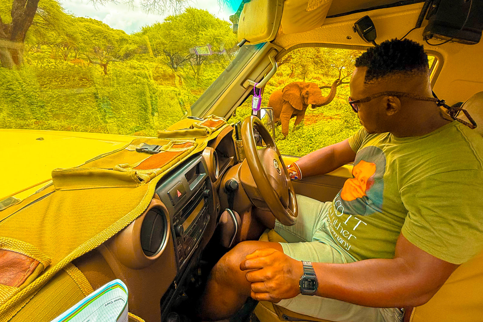 Professional guide driver thumbnail