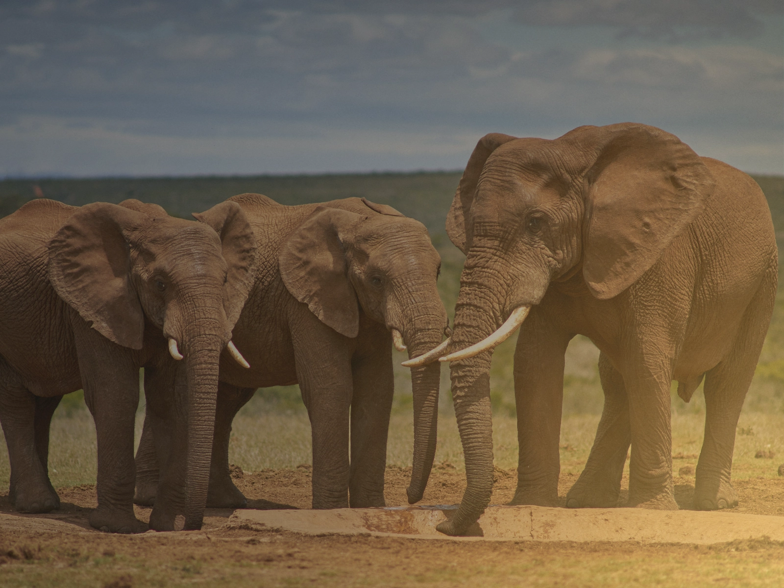 21 Days Bush to Beach self-drive safari in Tanzania